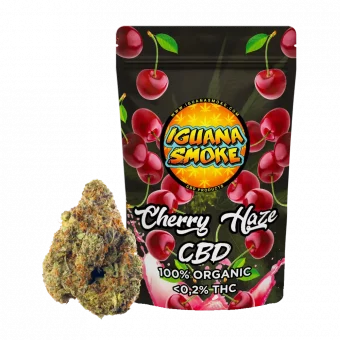 cherry haze cbd flowers cheap buds online