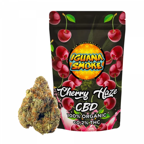 cherry haze cbd fiori gemme a buon mercato online