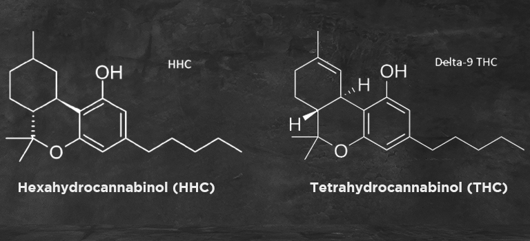 hhc vs thc