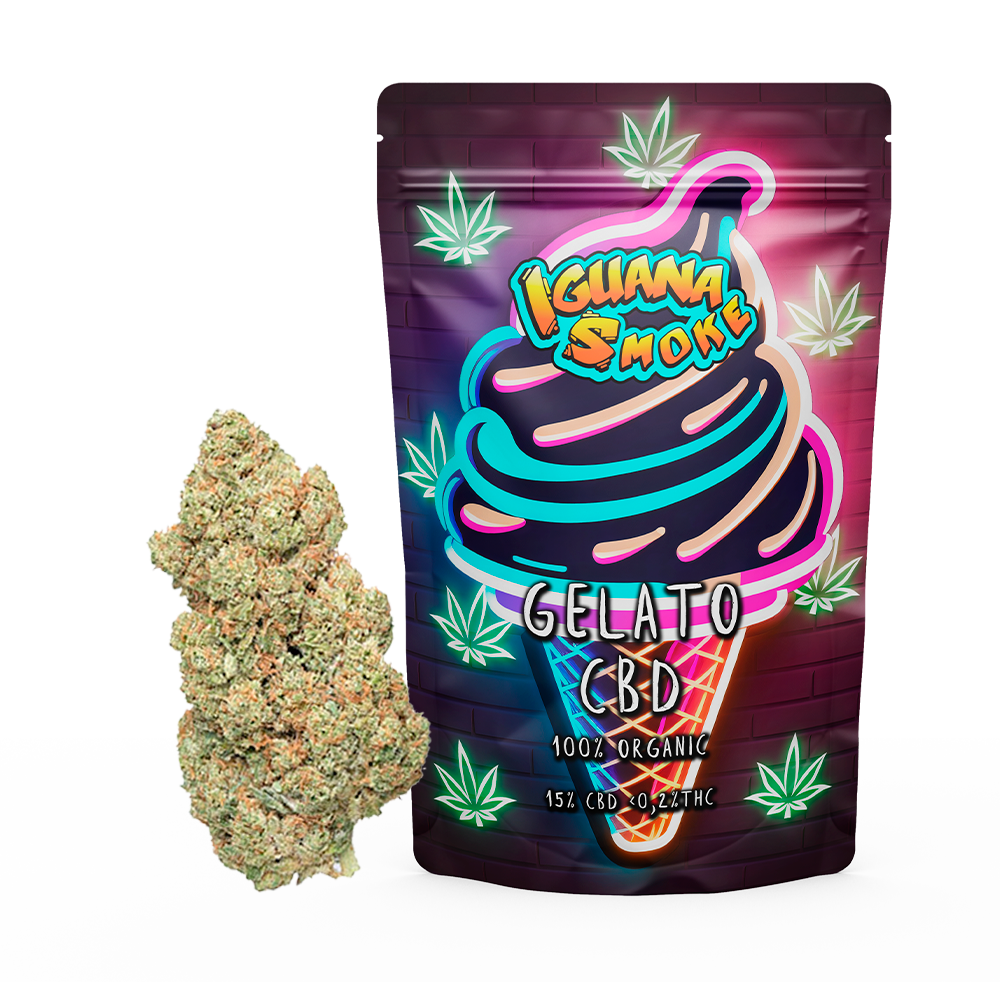 flor gelato cbd flower acquistare online gemme di marijuana legali a buon mercato