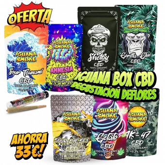 Dégustation de fleurs CBD Iguana Box