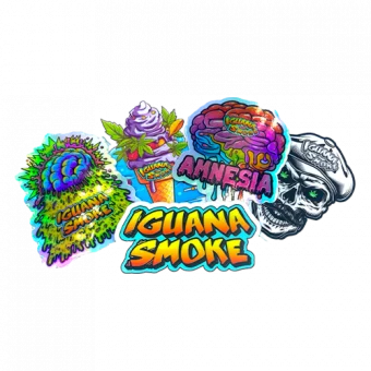 pack d'autocollants iguane
