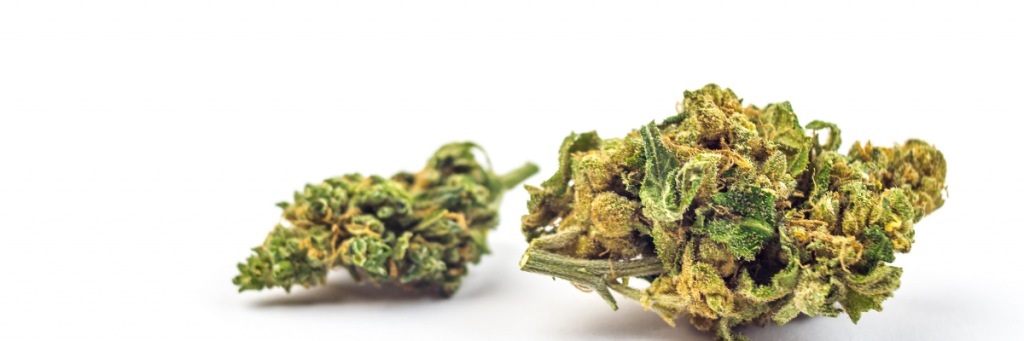 buy flower cbd buds online cheap legal weed
