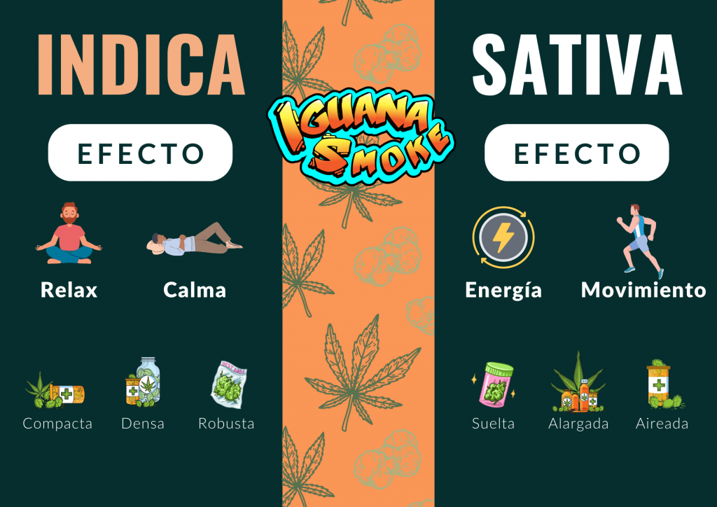 comprar cogollos cbd online flores cbd al por mayor