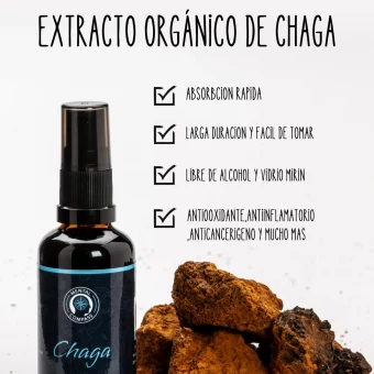 Extrato de chaga orgânico