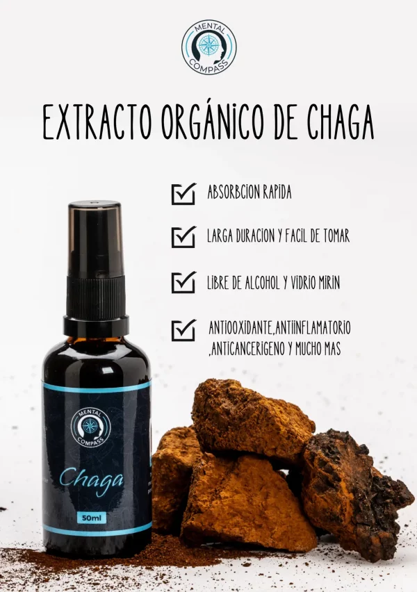 Extrato de chaga orgânico