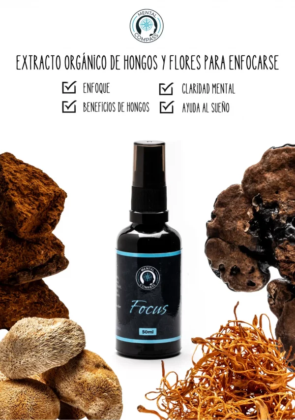 Extracto Orgánico de Chaga - Imagem 6