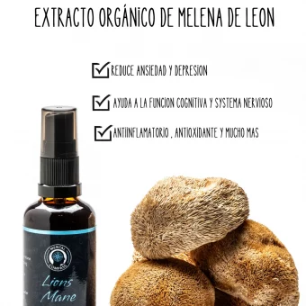 Organic Lion's Mane Extract
