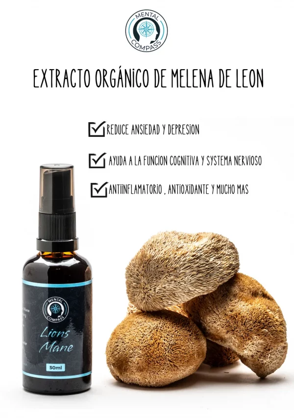 Extracto Orgánico de Chaga - Imagem 10