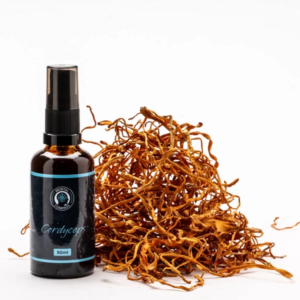 Extracto Orgánico de Cordyceps - Imagem 4
