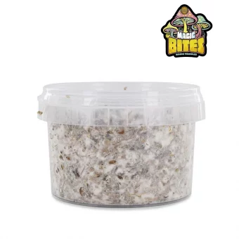 Kit de culture en extérieur pour champignons hallucinogènes (Azurescens)