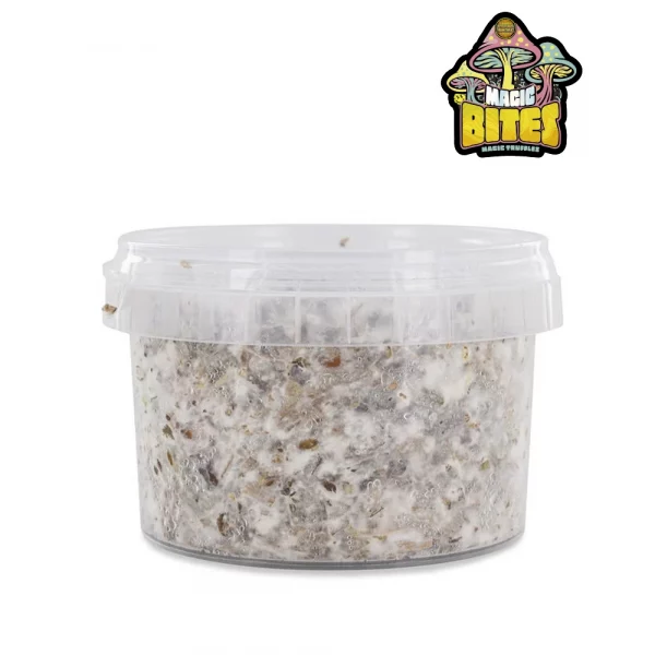 Kit de cultivo ao ar livre para cogumelos alucinogénios (Azurescens)