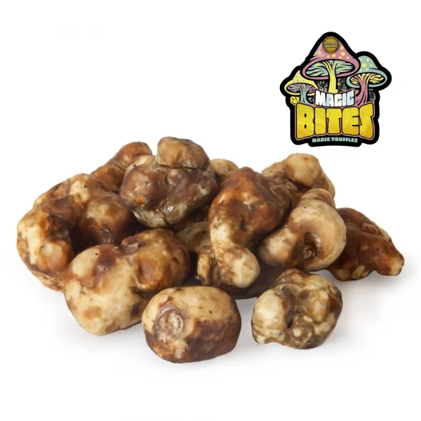 Trufas Tampanensis 15g
