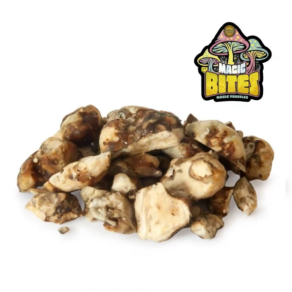 Truffes du dragon 15g