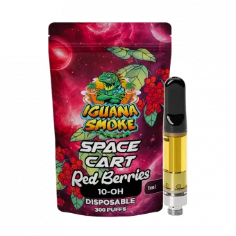 cartucho 10-oh red berries 1ml